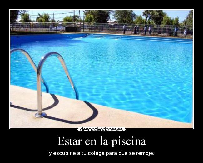 carteles estar piscina desmotivaciones