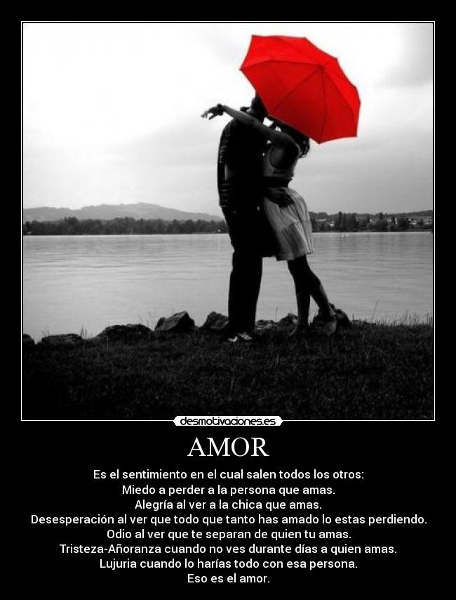 carteles amor pauesquii12 desmotivaciones