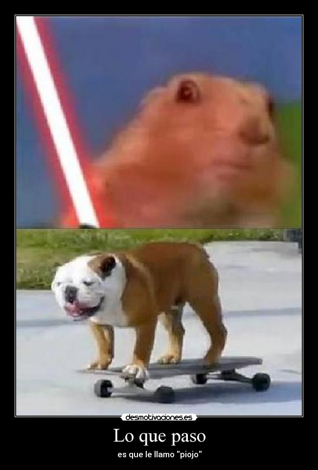 Lo que paso - es que le llamo piojo