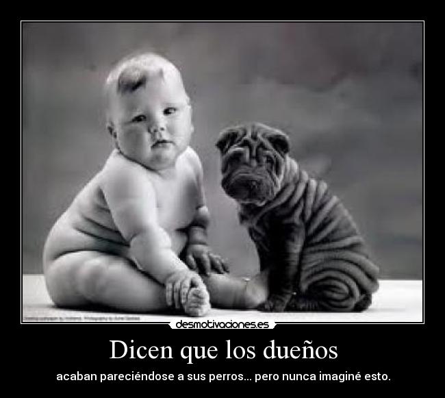 Dicen que los dueños - 