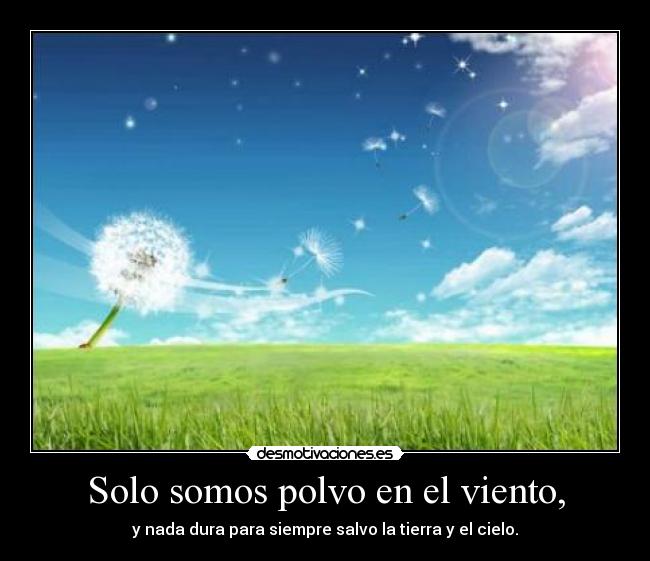 Solo somos polvo en el viento, -