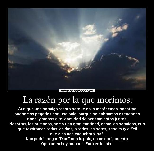La razón por la que morimos: - Aun que una hormiga rezara porque no la matásemos, nosotros
podríamos pegarles con una pala, porque no habríamos escuchado
nada, y menos a tal cantidad de pensamientos juntos.
Nosotros, los humanos, somo una gran cantidad, como las hormigas, aun
que rezáramos todos los días, a todas las horas, sería muy difícil
que dios nos escuchara, no? 
Nos podría pegar Dios con la pala, no se daría cuenta.
Opiniones hay muchas. Esta es la mía. 