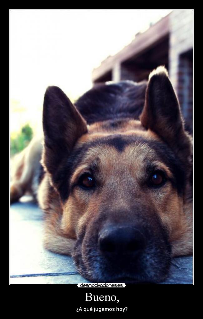 Bueno, - ¿A qué jugamos hoy?