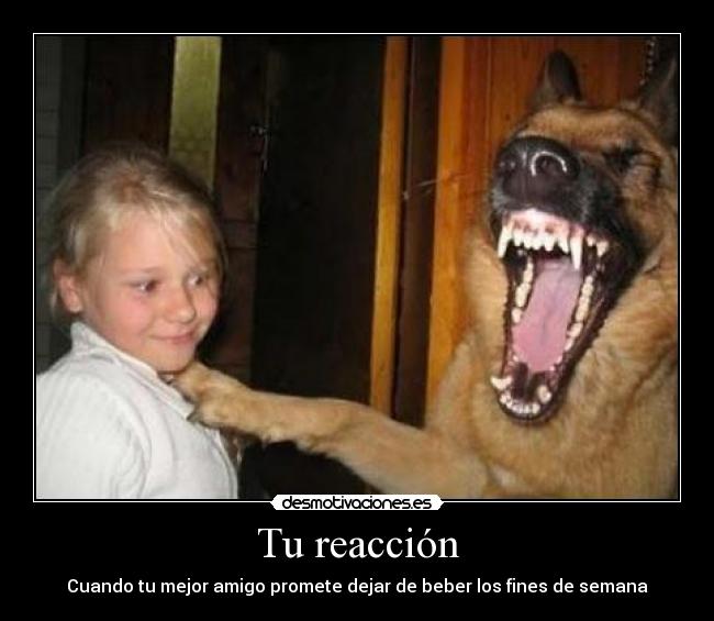 Tu reacción - 