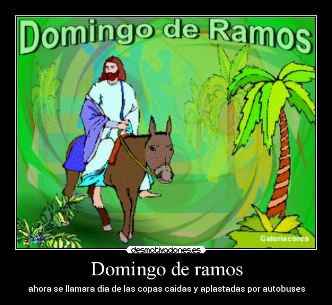 Domingo de ramos - ahora se llamara dia de las copas caidas y aplastadas por autobuses