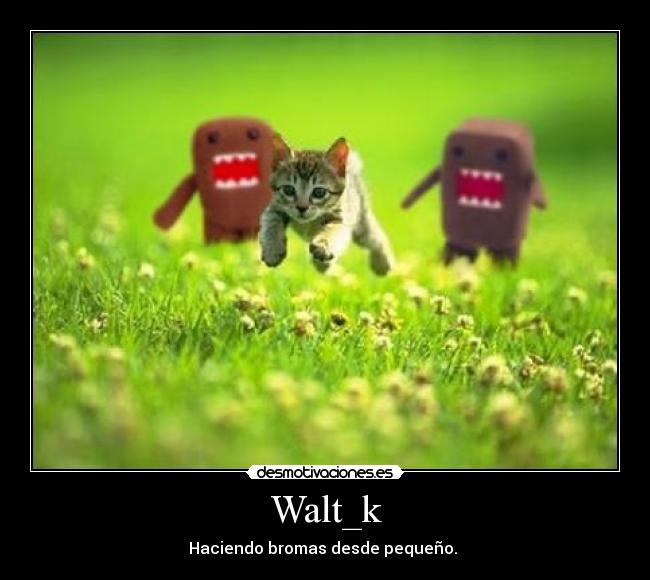 Walt_k -
