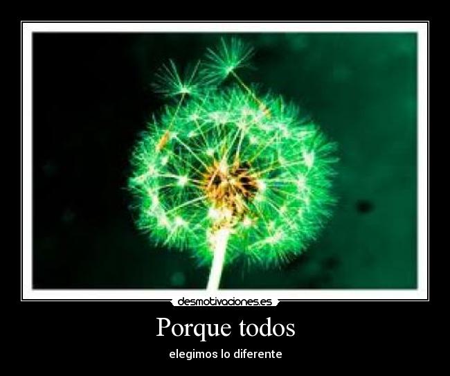 Porque todos - elegimos lo diferente