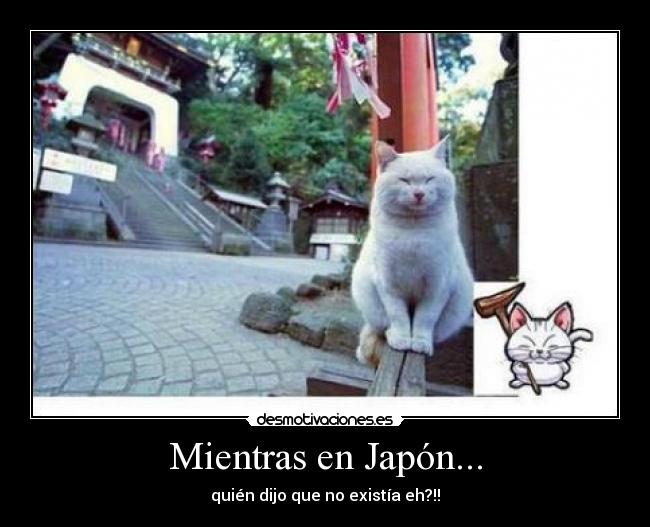 carteles lokiel desmotivaciones