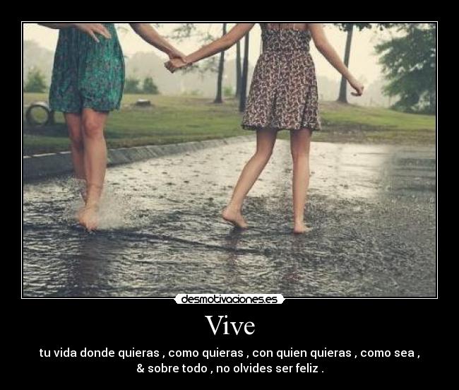 Vive -