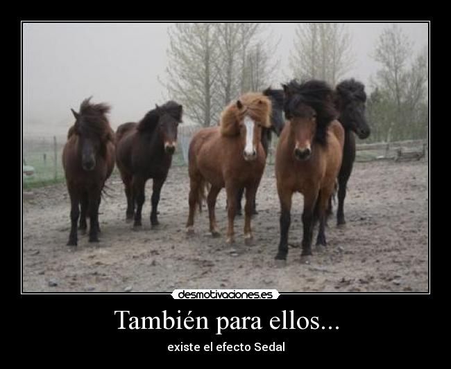 También para ellos... - 