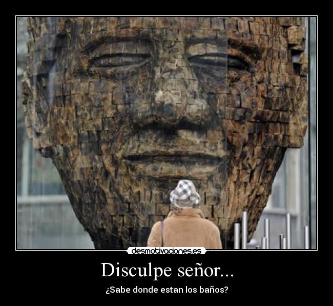 Disculpe señor... - 