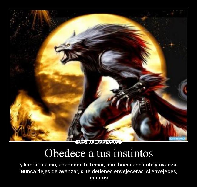 Obedece a tus instintos - y libera tu alma, abandona tu temor, mira hacia adelante y avanza.
Nunca dejes de avanzar, si te detienes envejecerás, si envejeces,
morirás
