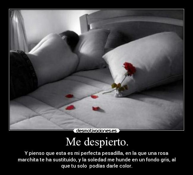 Me despierto. - Y pienso que esta es mi perfecta pesadilla, en la que una rosa
marchita te ha sustituido, y la soledad me hunde en un fondo gris, al
que tu solo podías darle color.