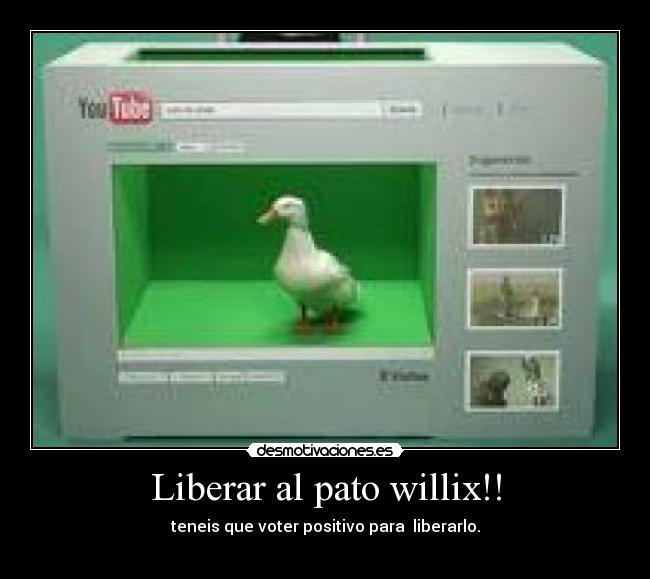 Liberar al pato willix!! - 
