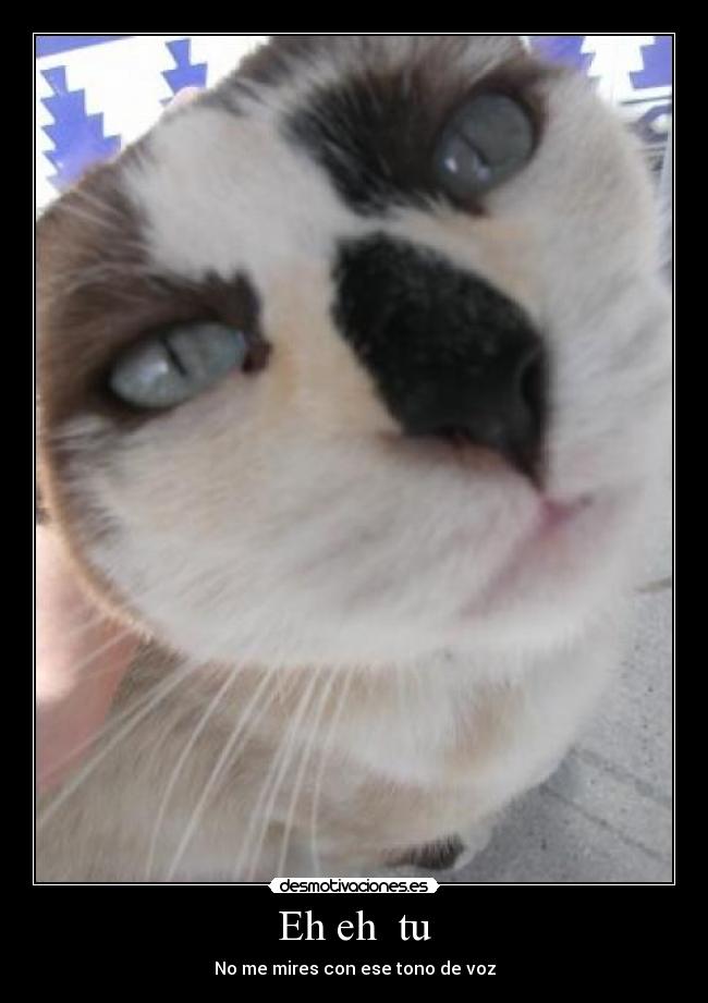 carteles  desmotivaciones