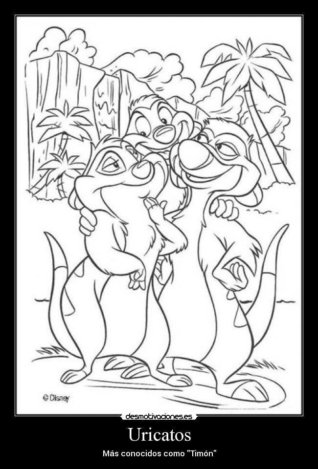 Uricatos - Más conocidos como Timón