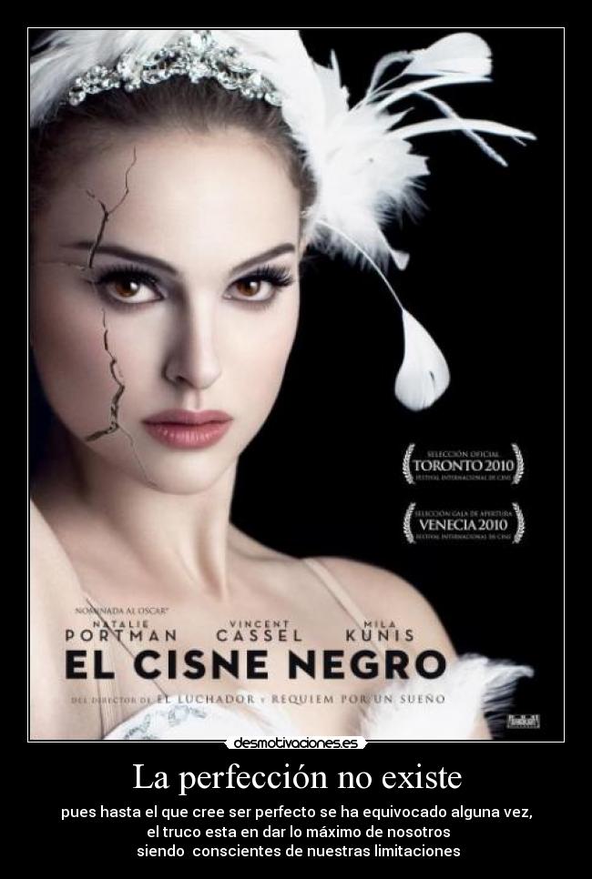 La perfección no existe - 