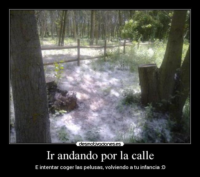 Ir andando por la calle - E intentar coger las pelusas, volviendo a tu infancia :D
