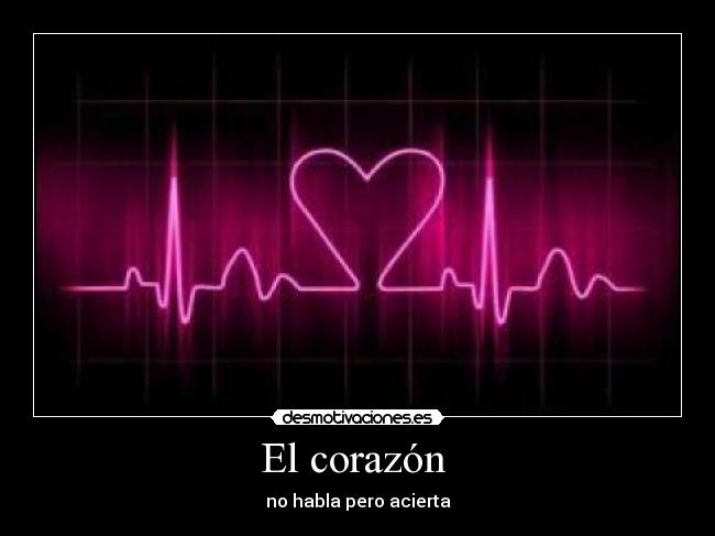 El corazón - no habla pero acierta
