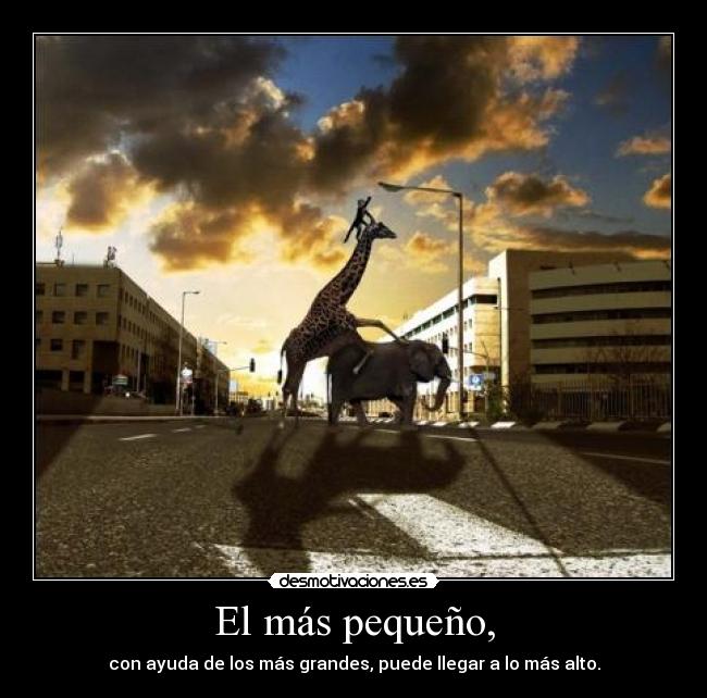carteles mono jirafa elefgante lunnarisdeidhun desmotivaciones