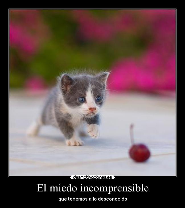 El miedo incomprensible -