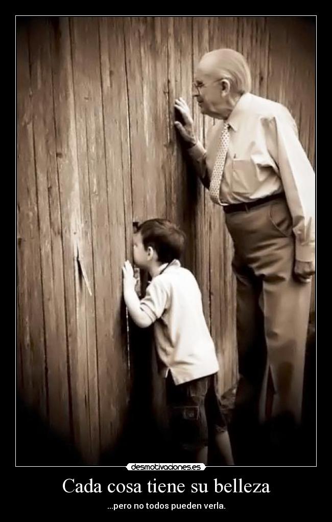 carteles belleza sabiduria entendimiento desmotivaciones