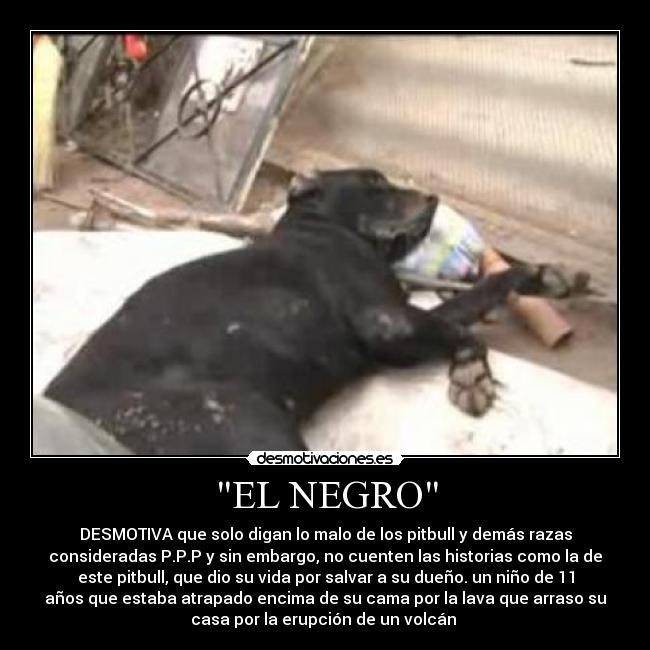 EL NEGRO -