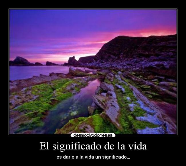 El significado de la vida -