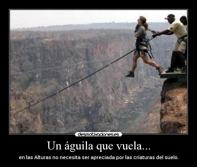 Un águila que vuela... -