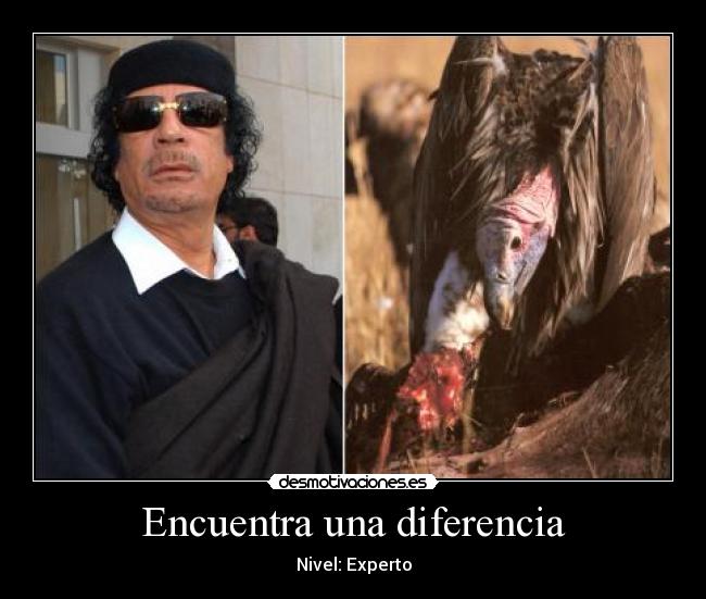 Encuentra una diferencia -