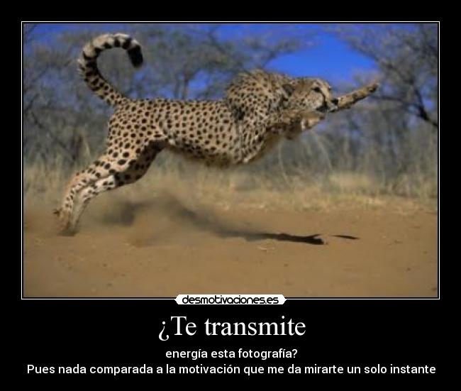 ¿Te transmite - 