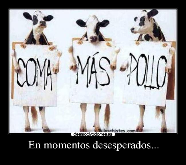 En momentos desesperados... - 