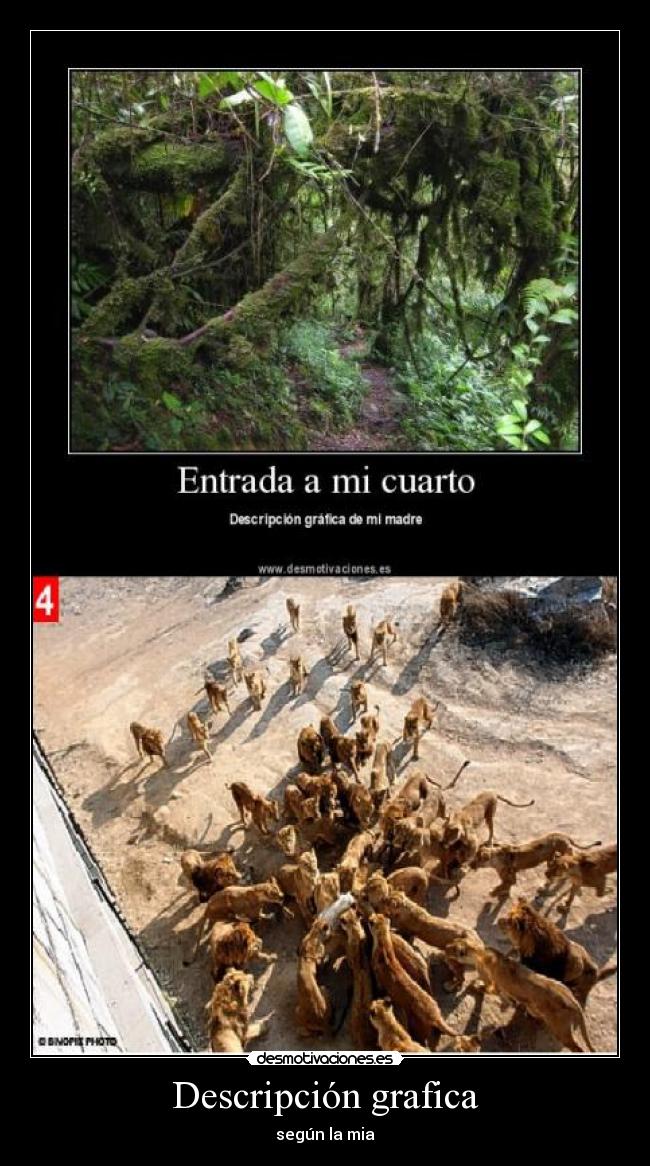 Descripción grafica - según la mia