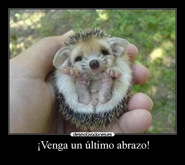 ¡Venga un último abrazo! - 