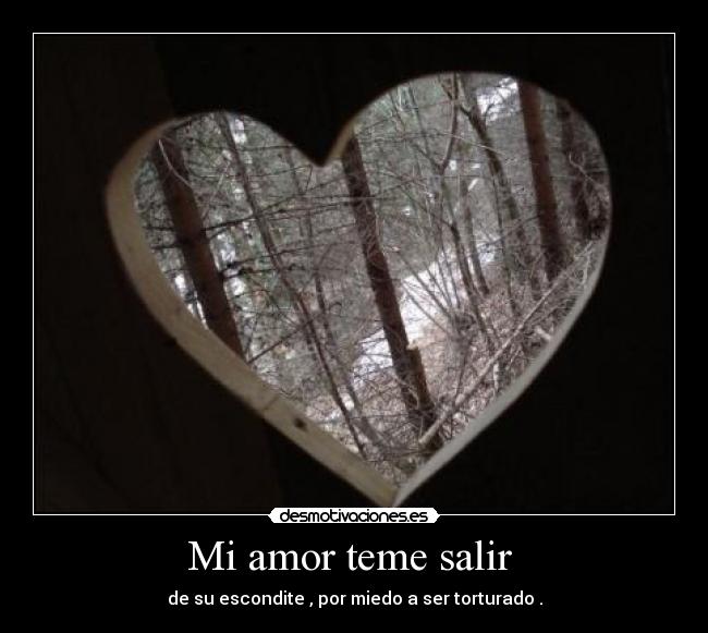Mi amor teme salir  - 