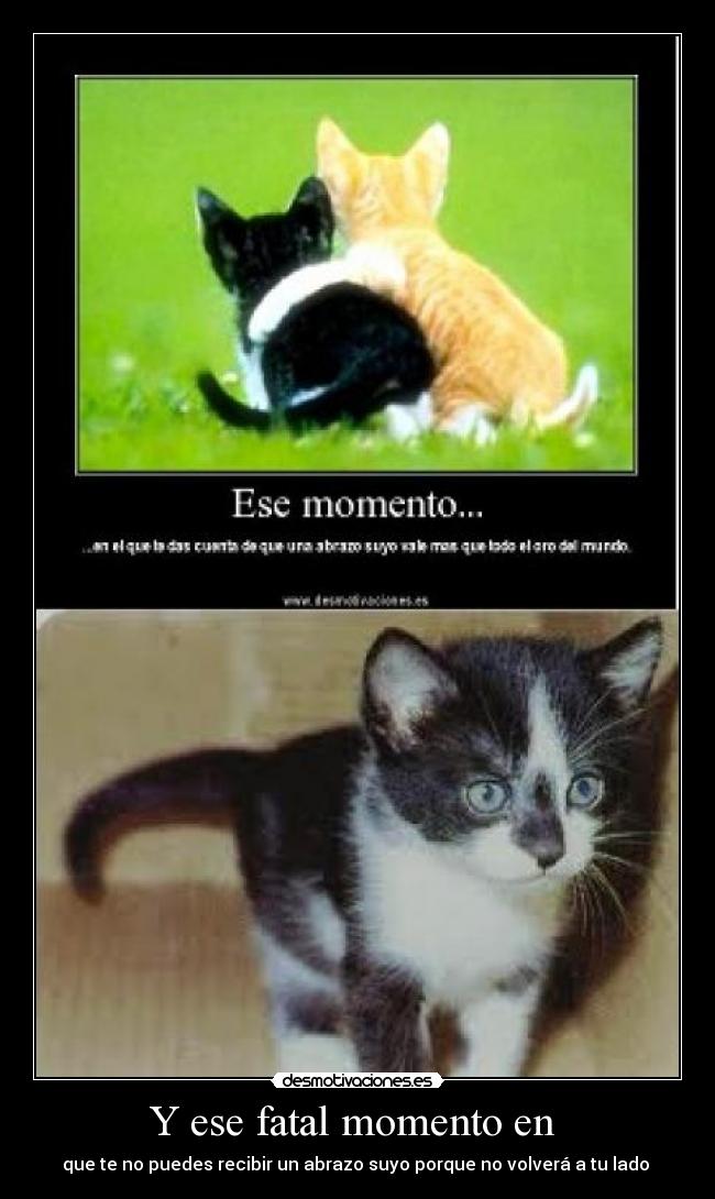 carteles desmotivaciones