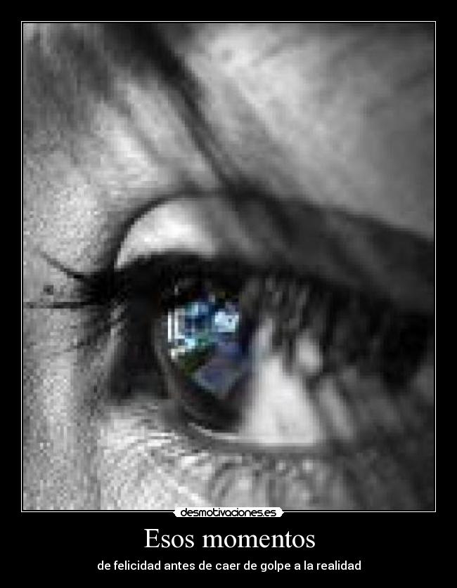 Esos momentos - de felicidad antes de caer de golpe a la realidad