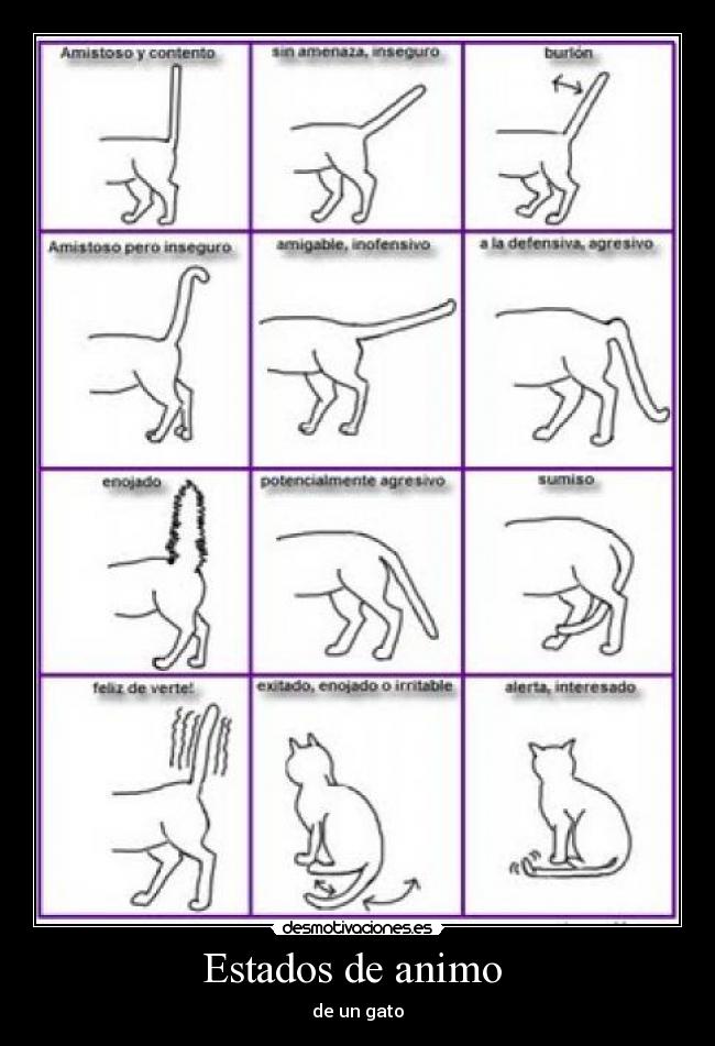 Estados de animo -