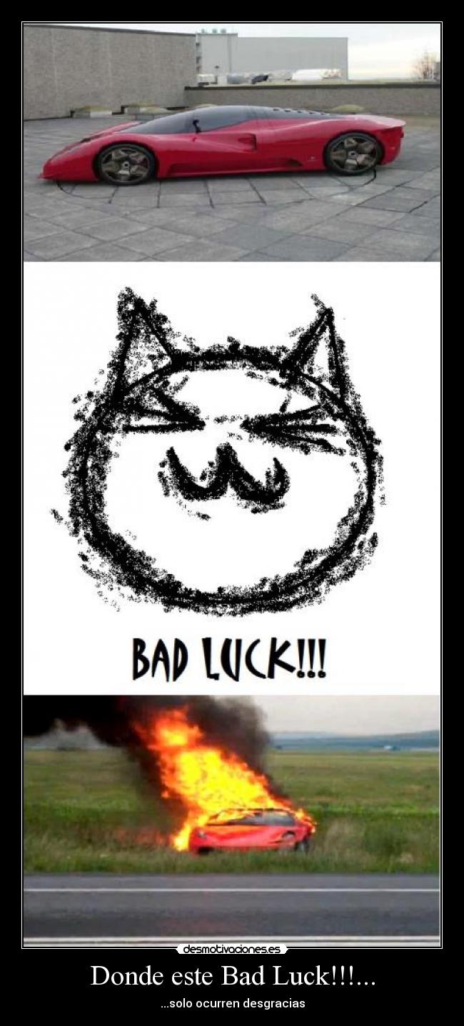 Donde este Bad Luck!!!... - ...solo ocurren desgracias