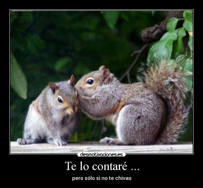 carteles contare desmotivaciones