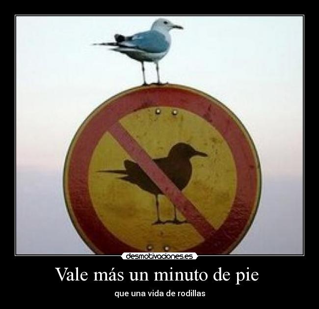 Vale más un minuto de pie  - 