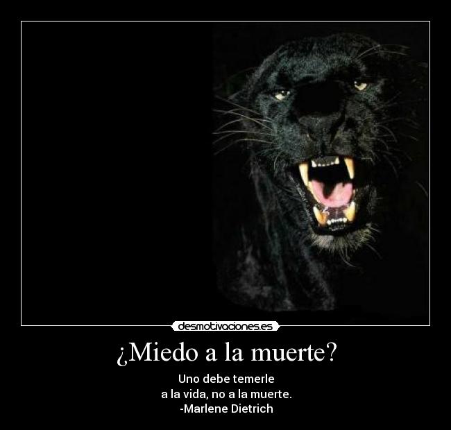 ¿Miedo a la muerte? - Uno debe temerle
a la vida, no a la muerte.
-Marlene Dietrich