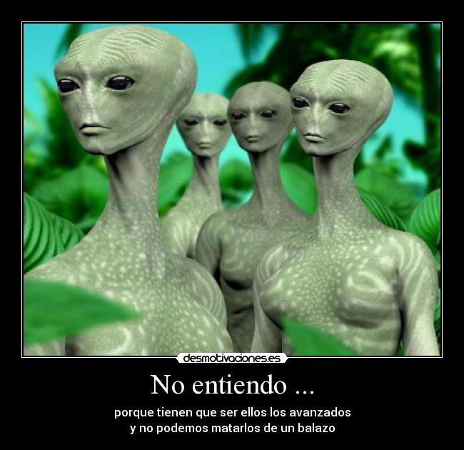 No entiendo ... -