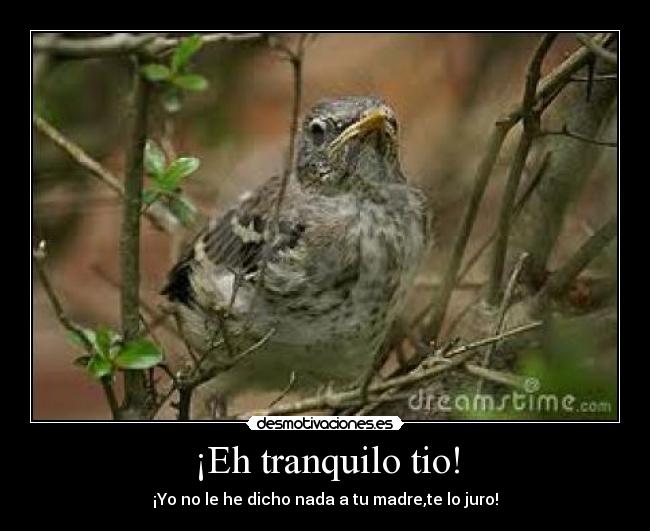 ¡Eh tranquilo tio! - ¡Yo no le he dicho nada a tu madre,te lo juro!