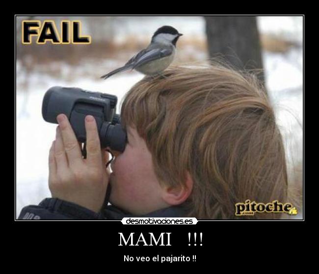 MAMI   !!! - No veo el pajarito !!