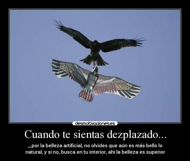 Cuando te sientas dezplazado... -