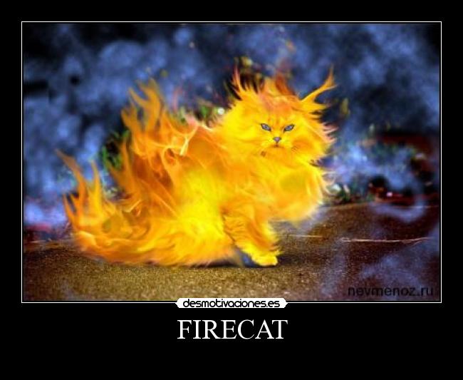 carteles firefox firecat lol fuuuu principal sube top aleatorio principal cola walt_k desmotiva motiva desmotivaciones