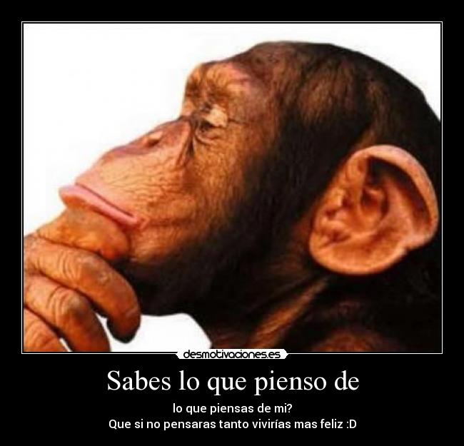 Sabes lo que pienso de - 