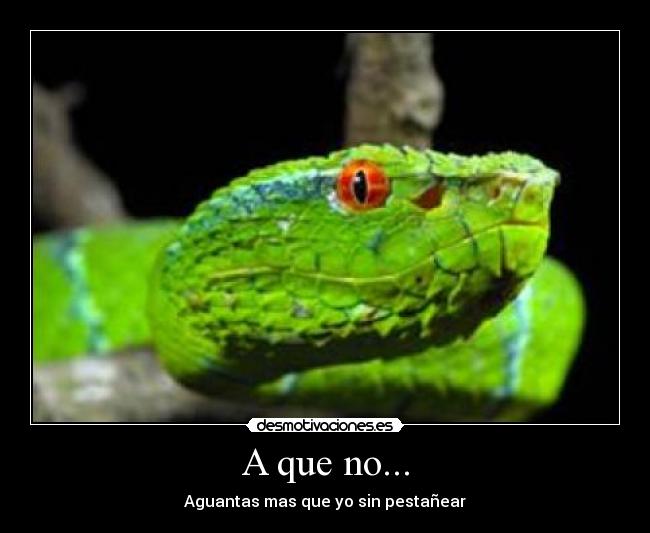 A que no... - 