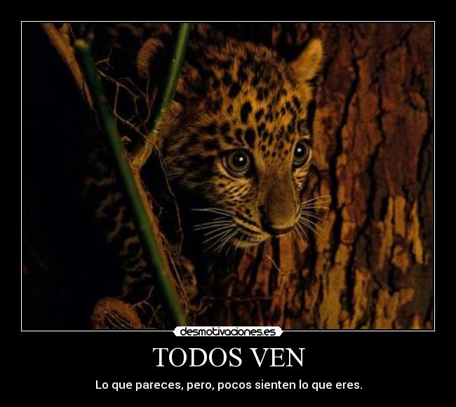 TODOS VEN - 